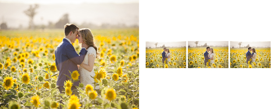 Bridal couple in the sunflowers of california